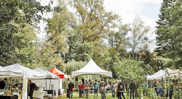 A vibrant outdoor market scene with various tents and booths. People gather among green trees, engaging in activities. The atmosphere is lively and communal, highlighting local vendors and visitors enjoying the day.