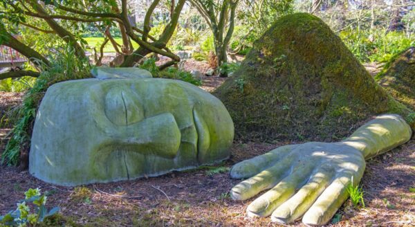Moss Lady at Beacon Hill Park, Victoria