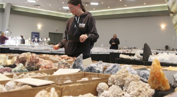 A woman examines various minerals and crystals displayed on tables at a gem and mineral show, with additional attendees browsing in the background. The setting features bright lighting and a spacious layout.
