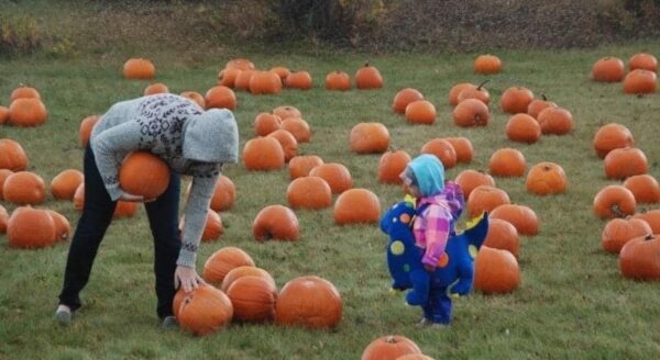 A child in a colorful coat watches as an adult bends down to pick up a pumpkin in a field filled with orange pumpkins. The scene captures a playful fall day outdoors.