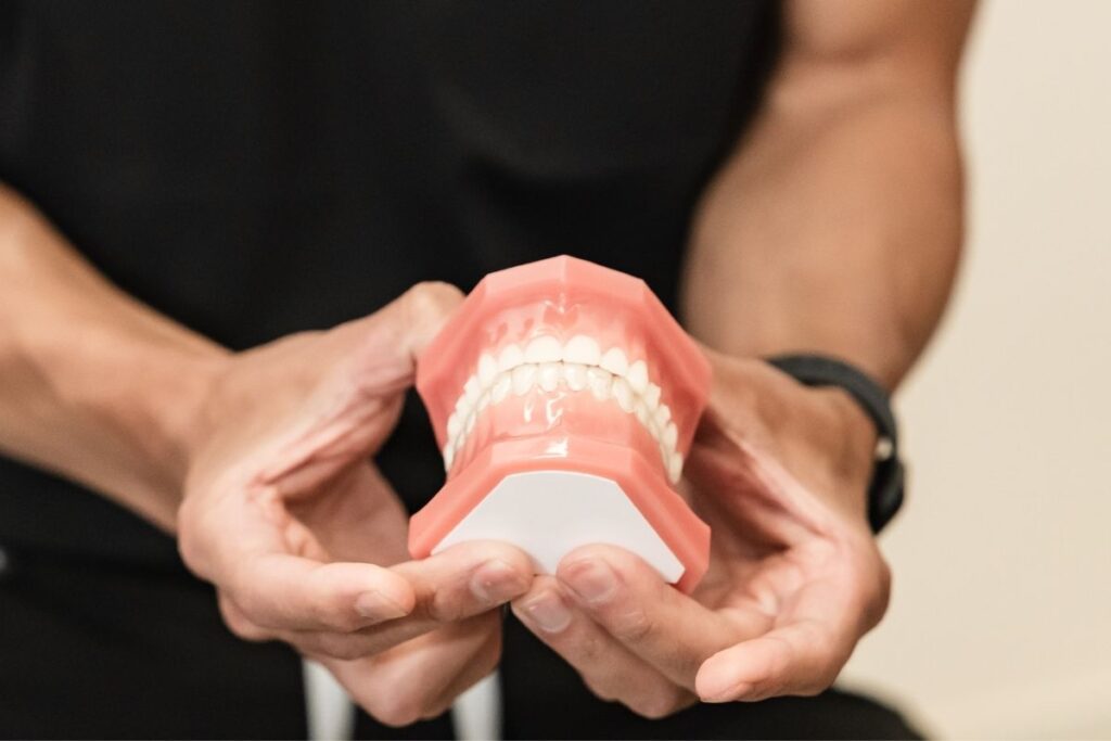 A person holds a dental model showcasing teeth and gums. The model is used for educational purposes in a dental setting, emphasizing oral hygiene and dental care.