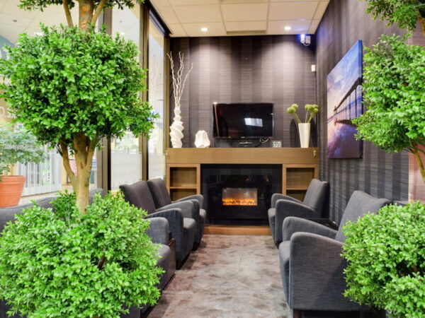 A cozy waiting area featuring plush chairs arranged around a modern faux fireplace. Flanking the space are potted greenery and a wall-mounted TV, creating a welcoming and relaxing atmosphere.